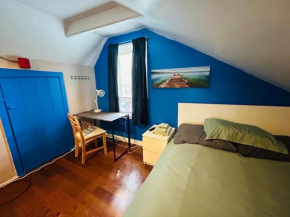 Nice room near Whole Foods, Brown University with shared bathroom and kitchen da